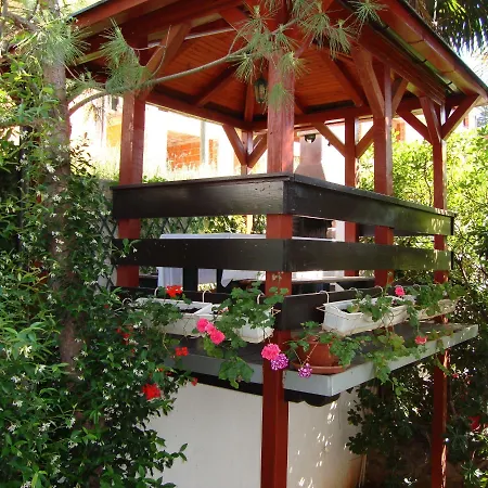 Roses & Wellness
