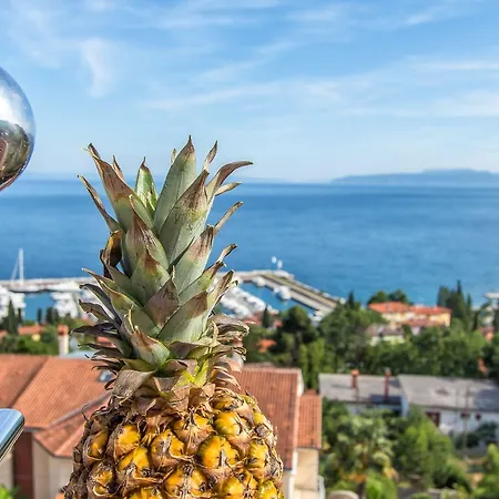 Roses & Wellness * Ičići