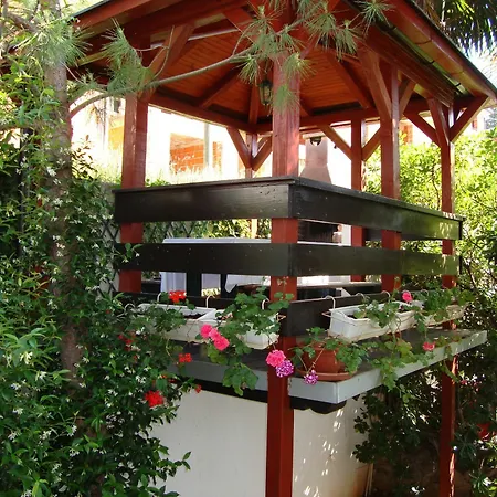 Roses & Wellness