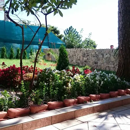 Apartment Roses & Wellness Icici