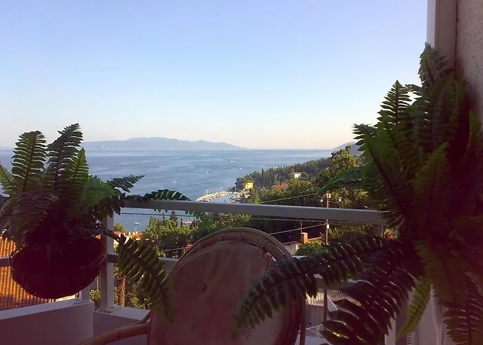 Daire Roses & Wellness Ičići