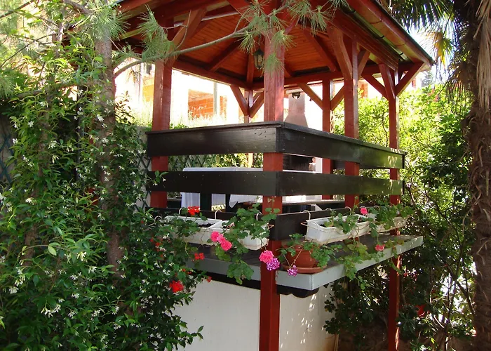 Roses & Wellness