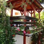 Roses & Wellness