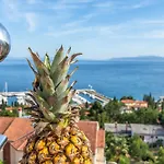 Roses & Wellness * Ičići